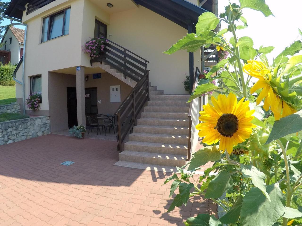 Apartment Ante Szluin Kültér fotó